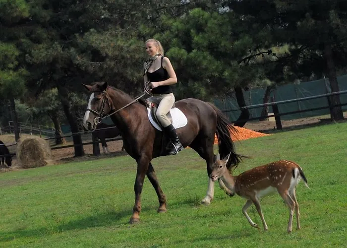 Appartmento S3m 이솔라 알바렐라